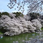 華よりパン！