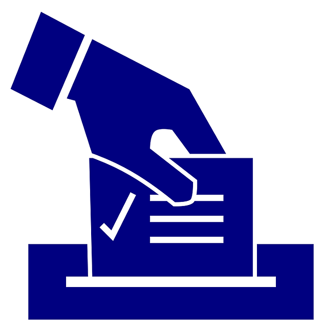 難民の選挙　あらすじ